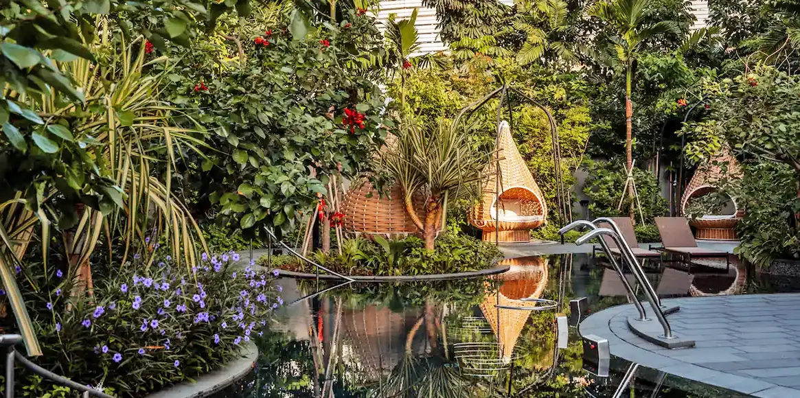 君悅酒店 游泳池景觀 君悅酒店 游泳池景觀