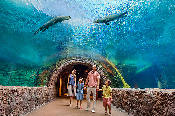 新馬Fun暑假》樂高樂園.河川生態園.亞洲雨林探險園5日