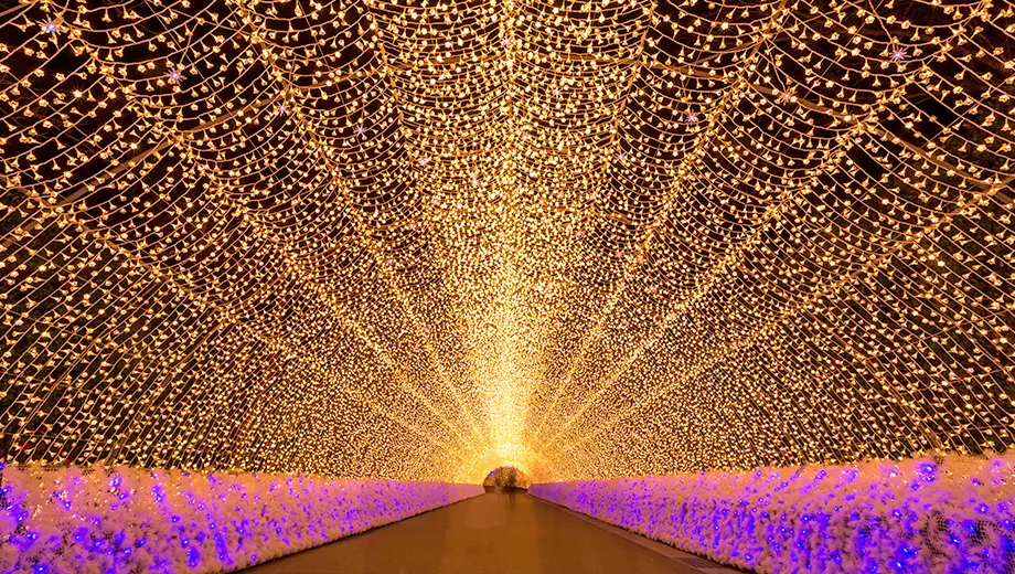 名花之里彩燈祭 長廊