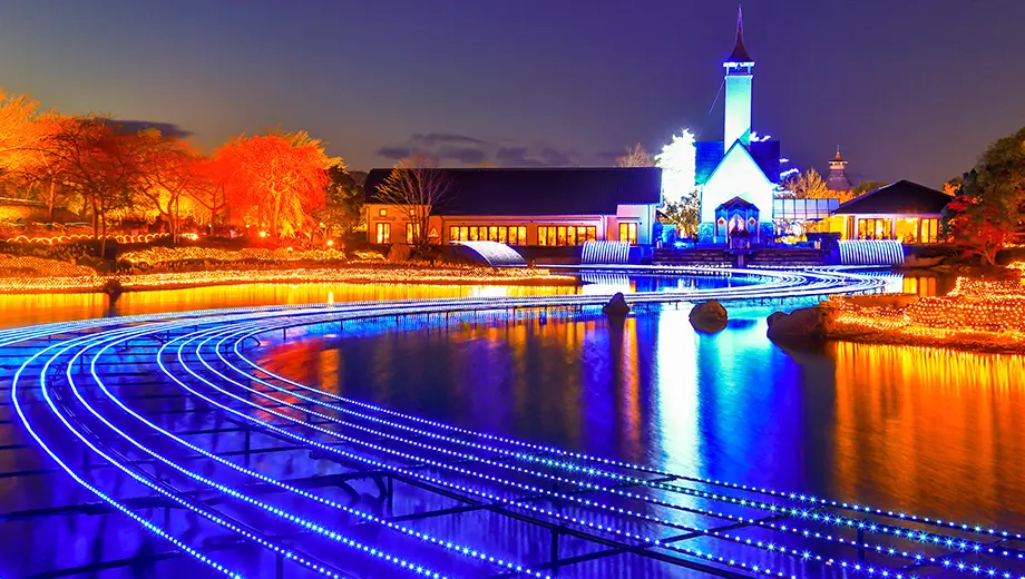 名花之里彩燈祭 美景