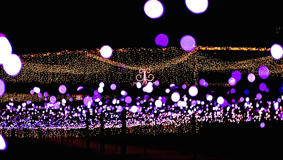 札幌雪燈節街邊