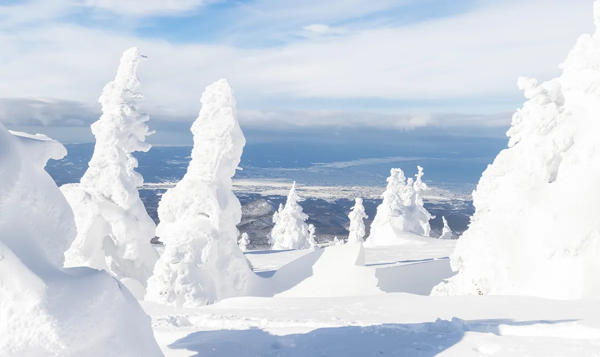 八甲田樹冰雪景