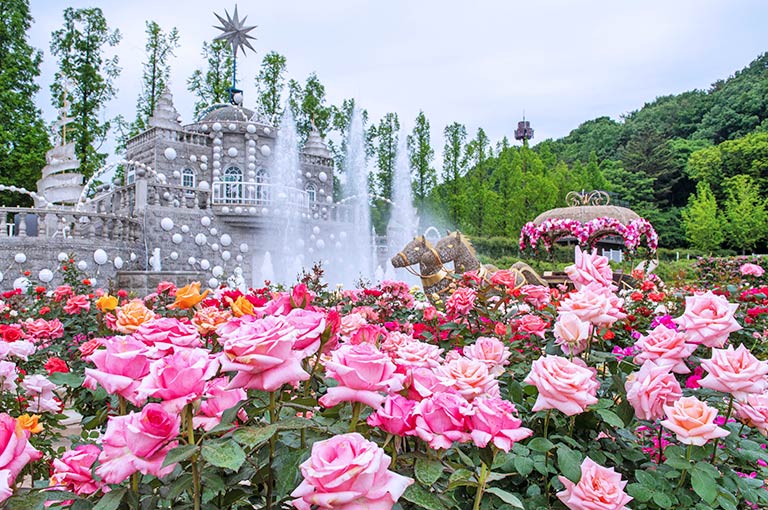 愛寶樂園玫瑰花園