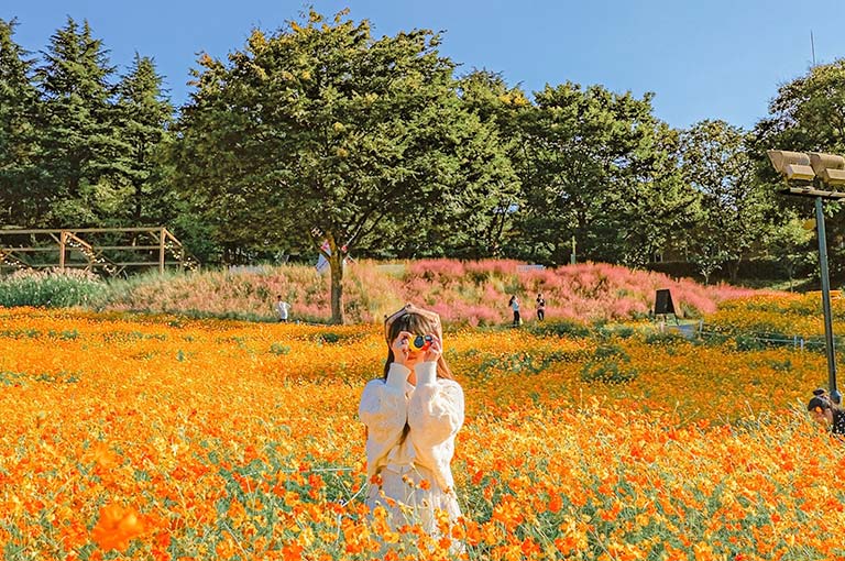 奧林匹克公園