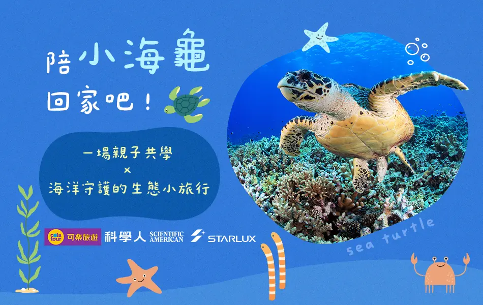 海龜守護旅行手機版