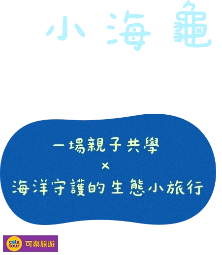 帶小海龜回家