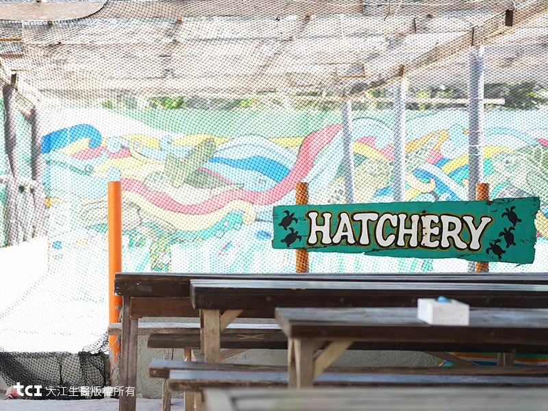 HATCHERY
