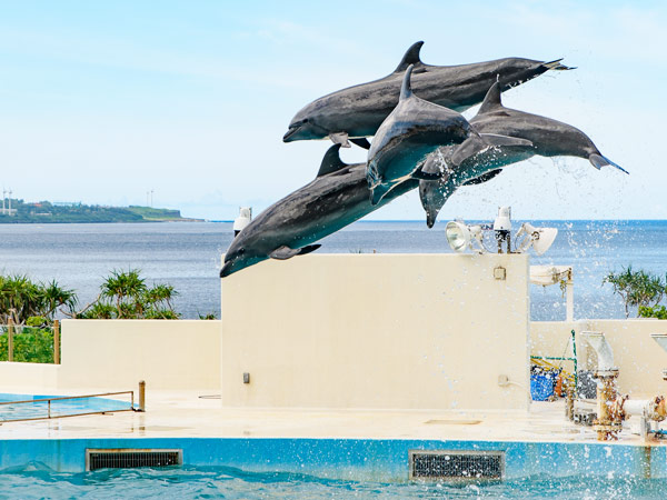 美麗海水族館.植物園彩燈秀.玉泉洞王國村.殘波岬美爵飯店4日