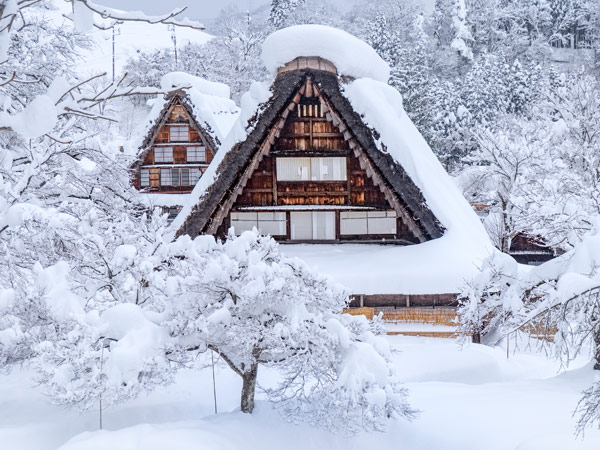 冬季夢幻點燈.合掌村兼六園.牧歌之里戲雪.名古屋希爾頓5日