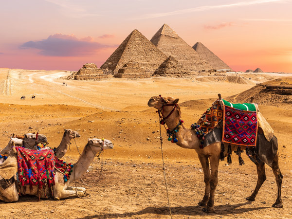 中段搭機.阿布辛貝神殿.金字塔景觀餐廳.尼羅河河輪旅行.乙晚奢華四季飯店10日